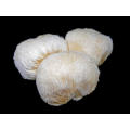 EU Certified Organic Lion's Mane Mushroom Powder Hericium Erinaceus Organic Lion's Mane Extract